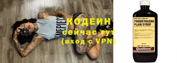 2c-b Инсар