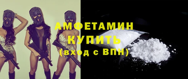 2c-b Инсар