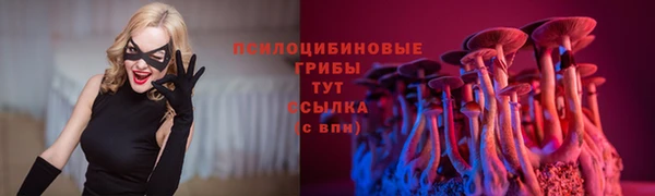 амфетамин Каменногорск