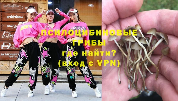 mdpv Иннополис
